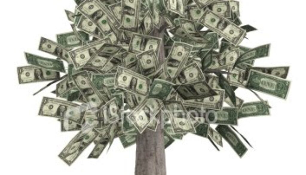money_tree.jpg