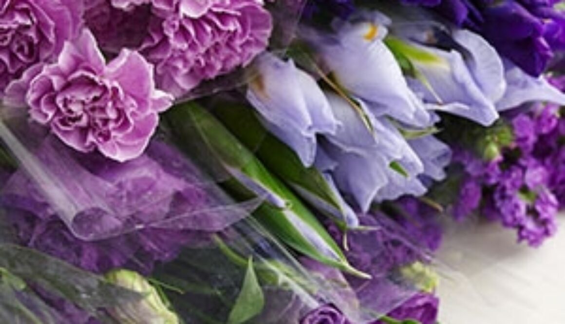 irises-statis-flowers_300.JPG
