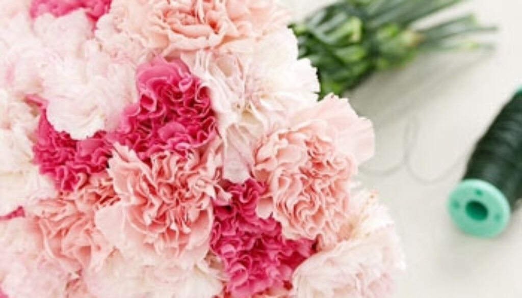 carnations.JPG