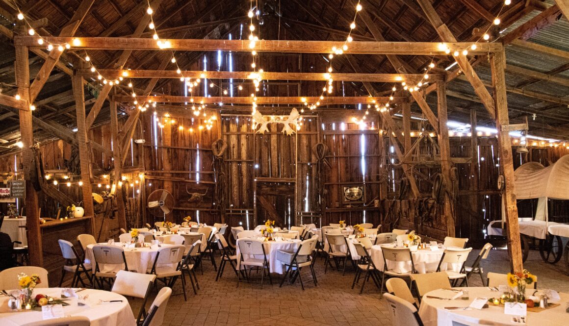 outdoor wedding lighting ideas